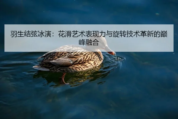 羽生结弦冰演：花滑艺术表现力与旋转技术革新的巅峰融合