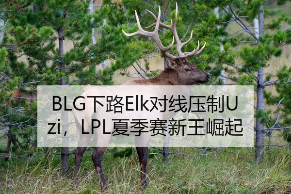 BLG下路Elk对线压制Uzi，LPL夏季赛新王崛起